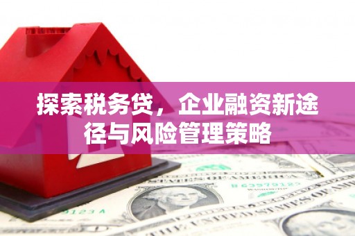 永济探索税务贷，企业融资新途径与风险管理策略
