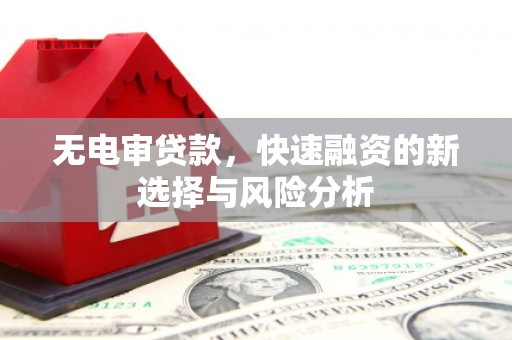 永济无电审贷款，快速融资的新选择与风险分析