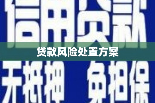 永济贷款风险处置方案