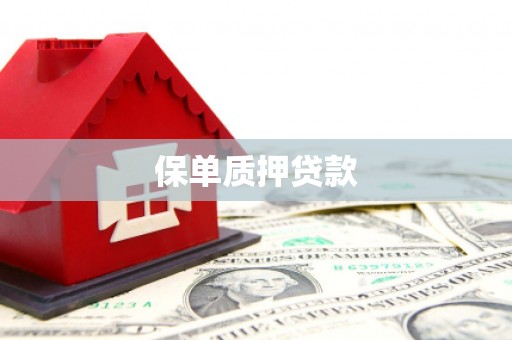 永济保单质押贷款