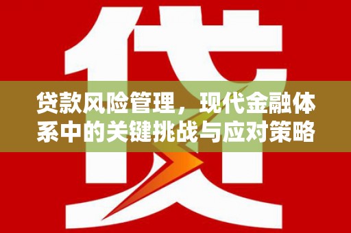 永济贷款风险管理，现代金融体系中的关键挑战与应对策略