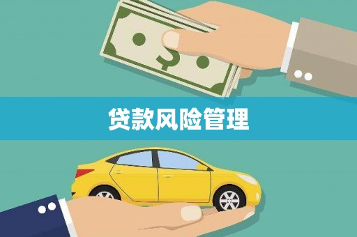 永济贷款风险管理