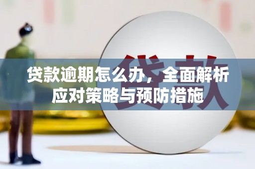 永济贷款逾期怎么办，全面解析应对策略与预防措施