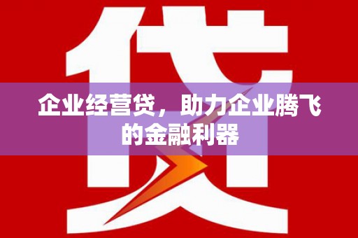 永济企业经营贷，助力企业腾飞的金融利器