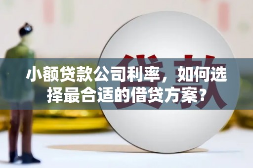 永济小额贷款公司利率，如何选择最合适的借贷方案？