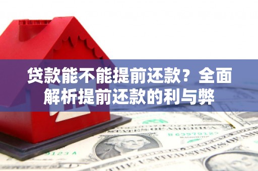 永济贷款能不能提前还款？全面解析提前还款的利与弊