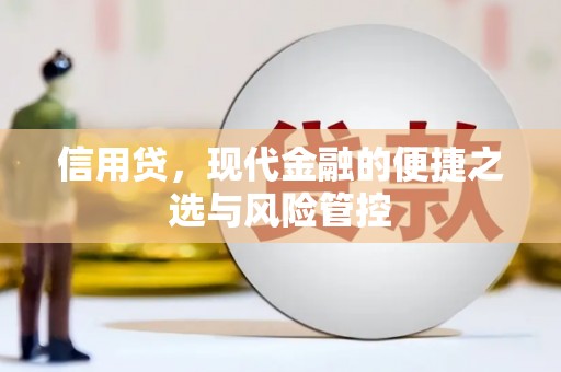 永济信用贷，现代金融的便捷之选与风险管控
