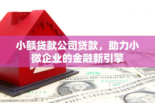 永济小额贷款公司贷款，助力小微企业的金融新引擎