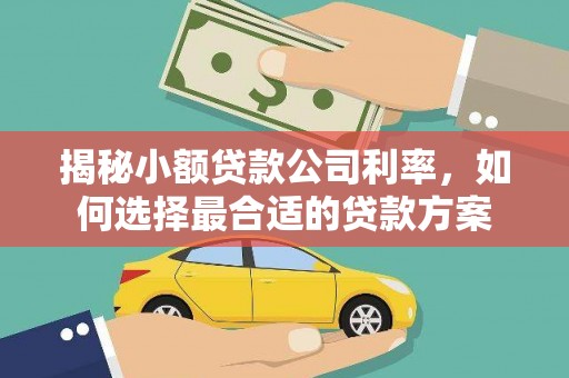 永济揭秘小额贷款公司利率，如何选择最合适的贷款方案