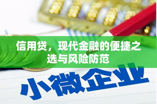 永济信用贷，现代金融的便捷之选与风险防范