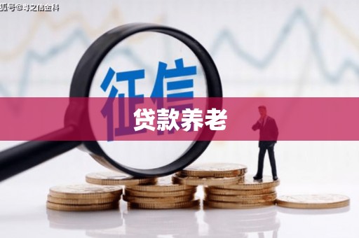 永济贷款养老