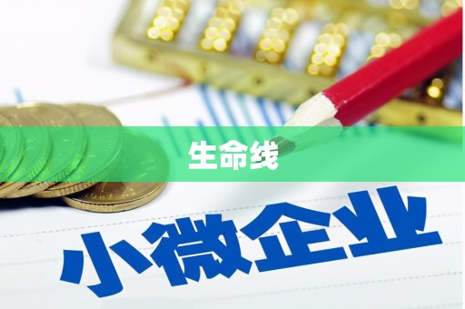 永济生命线