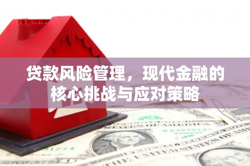 永济贷款风险管理，现代金融的核心挑战与应对策略