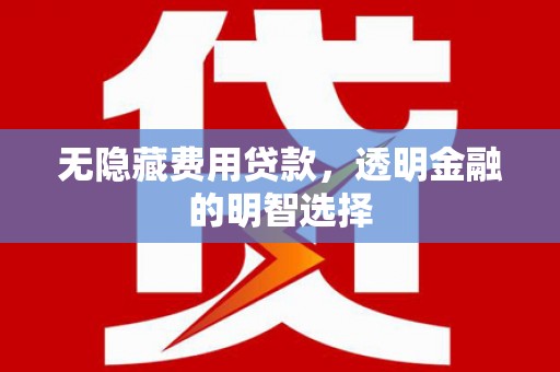 永济无隐藏费用贷款，透明金融的明智选择