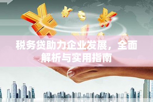 永济税务贷助力企业发展，全面解析与实用指南