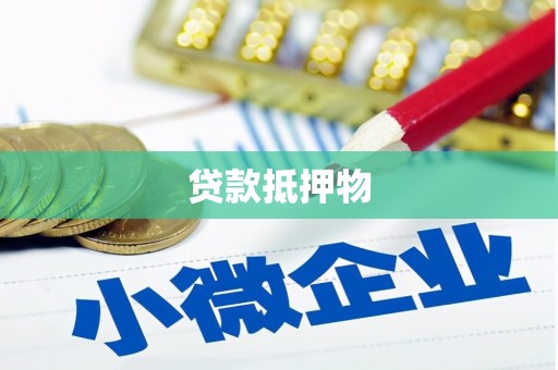 永济贷款抵押物