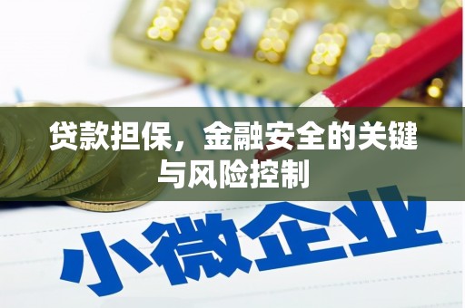 永济贷款担保，金融安全的关键与风险控制