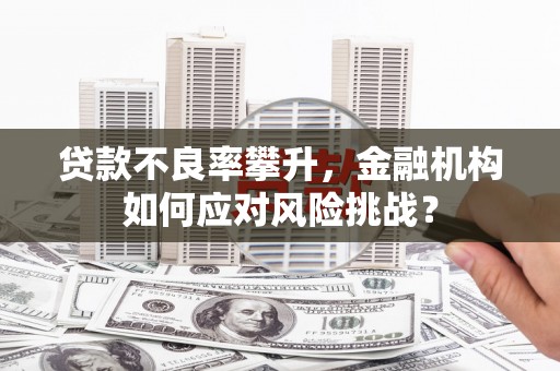 永济贷款不良率攀升，金融机构如何应对风险挑战？