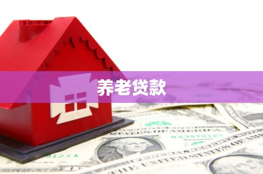 永济养老贷款