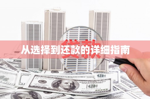 永济从选择到还款的详细指南