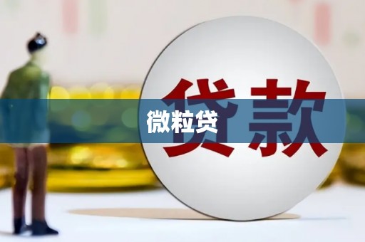 永济微粒贷