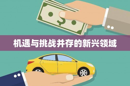 永济机遇与挑战并存的新兴领域