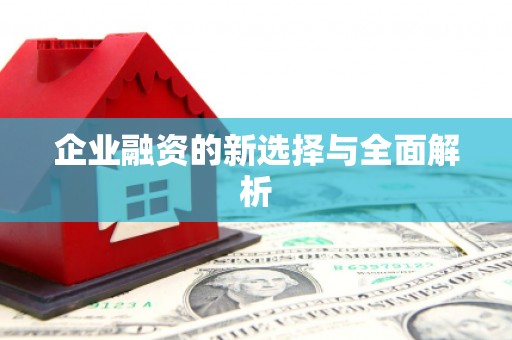 永济企业融资的新选择与全面解析