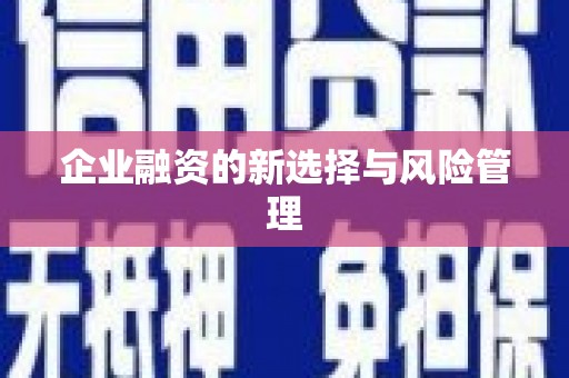 永济企业融资的新选择与风险管理