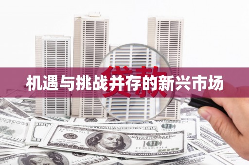 永济机遇与挑战并存的新兴市场