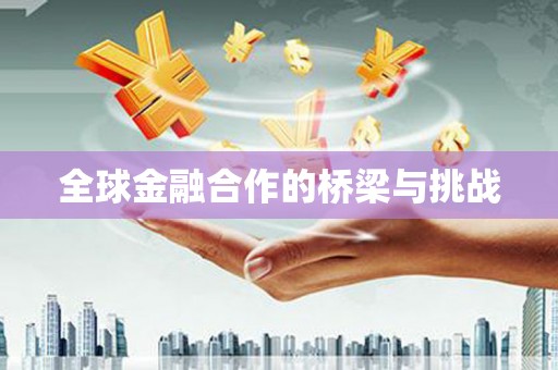 永济全球金融合作的桥梁与挑战