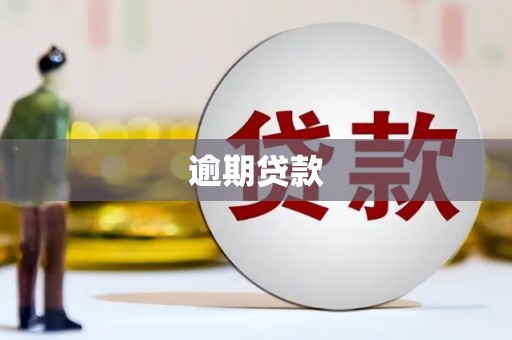 永济逾期贷款