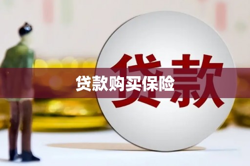 永济贷款购买保险