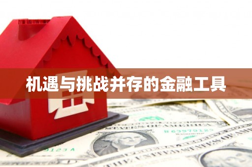 永济机遇与挑战并存的金融工具