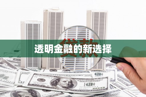 永济透明金融的新选择