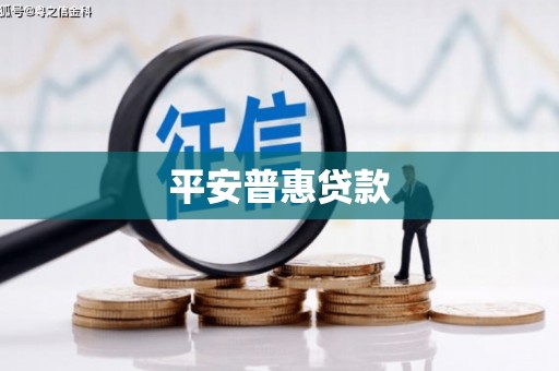 永济平安普惠贷款