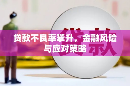 永济贷款不良率攀升，金融风险与应对策略