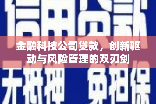 永济金融科技公司贷款，创新驱动与风险管理的双刃剑